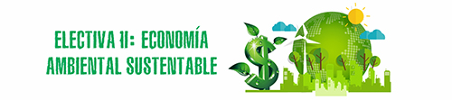 Electiva II: Economía Ambiental Sustentable II